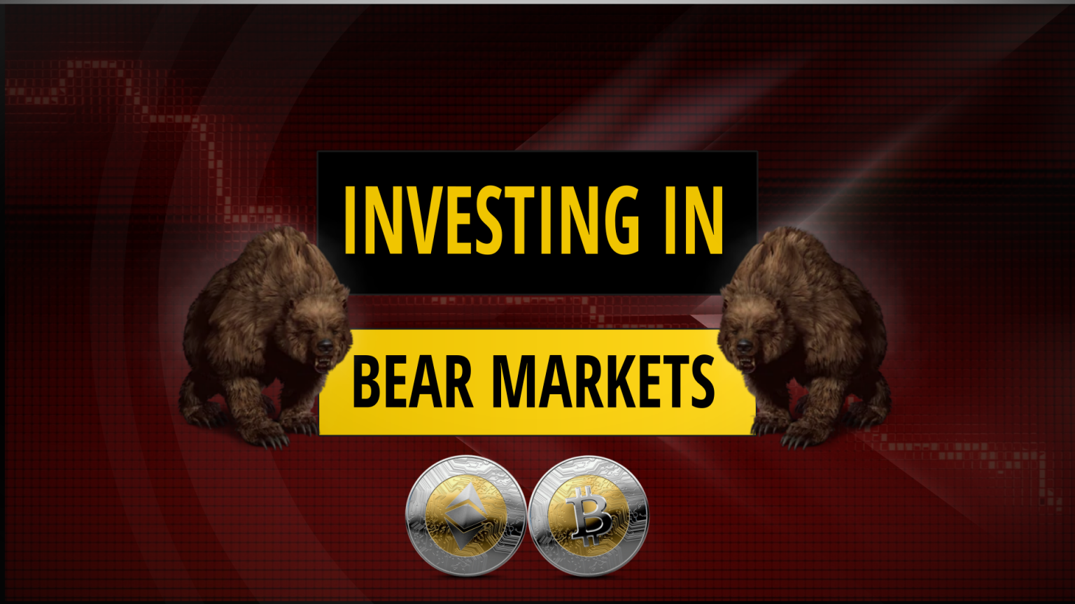 Bear Markets How Human Psychology Works Against Us