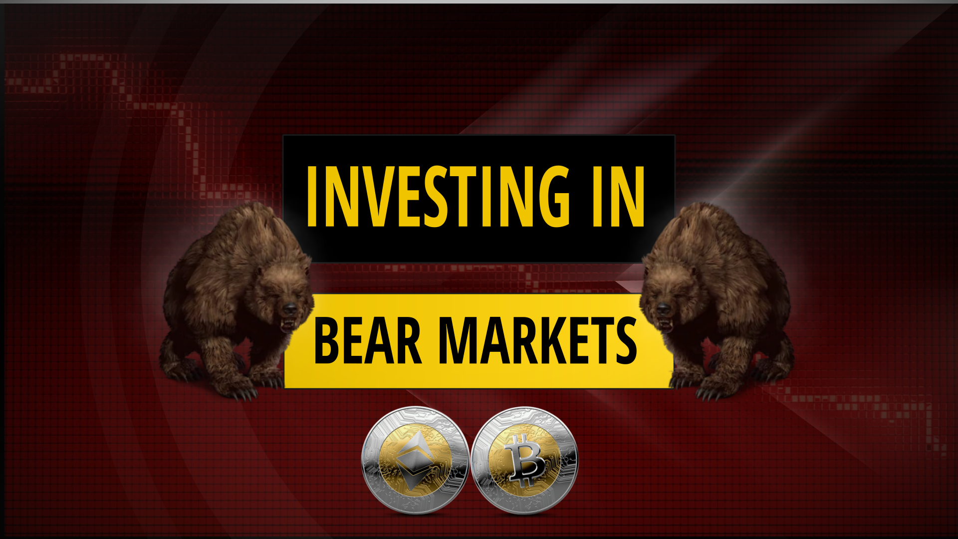 Bear Markets | How Human Psychology Works Against Us