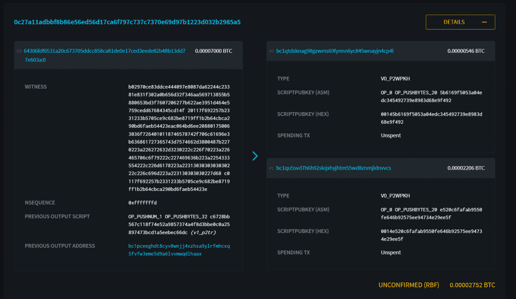 Witness data on Bitcoin transaction