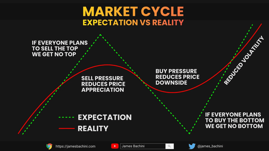 Market Cycle Expectation vs Reality
