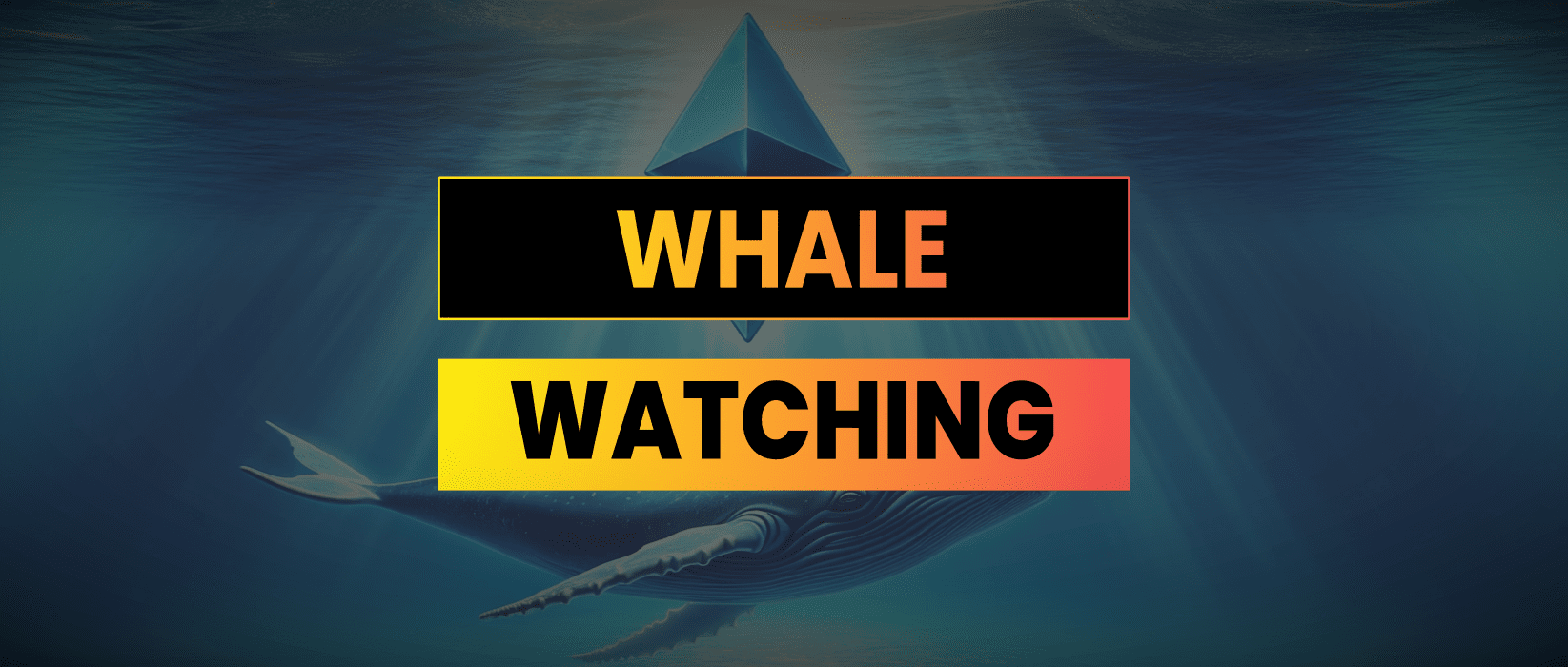 DeFi Whale Watching Tutorial & Code