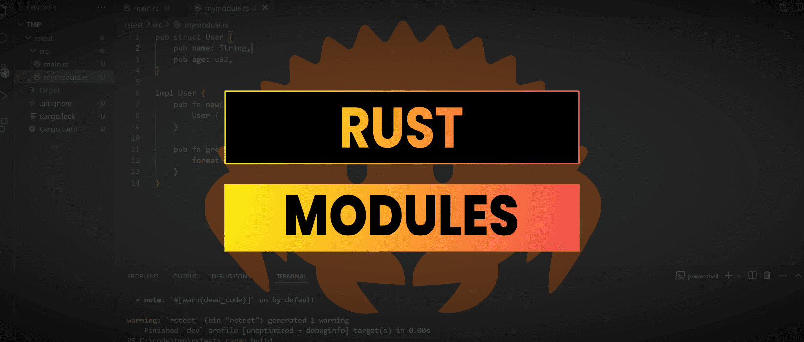 Simple Example Of Rust Struct & Importing Modules