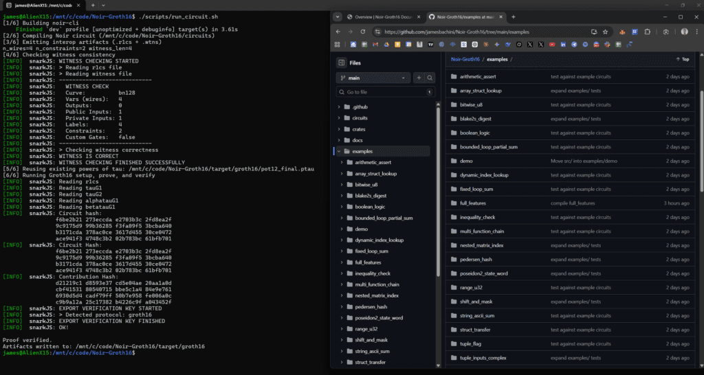 Noir Groth16 Prover Backend