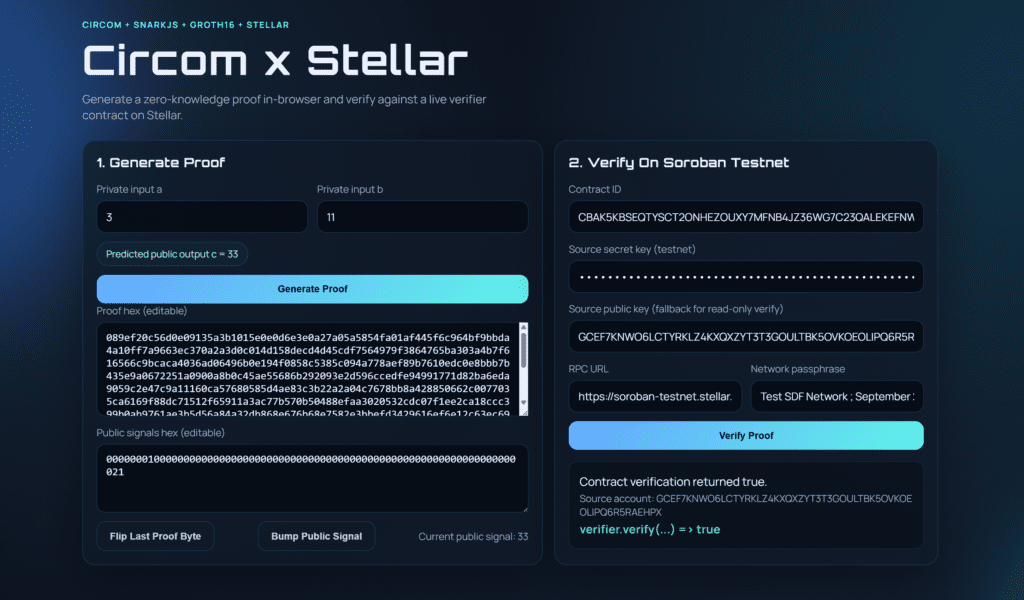 Circom frontend verifier snarkjs